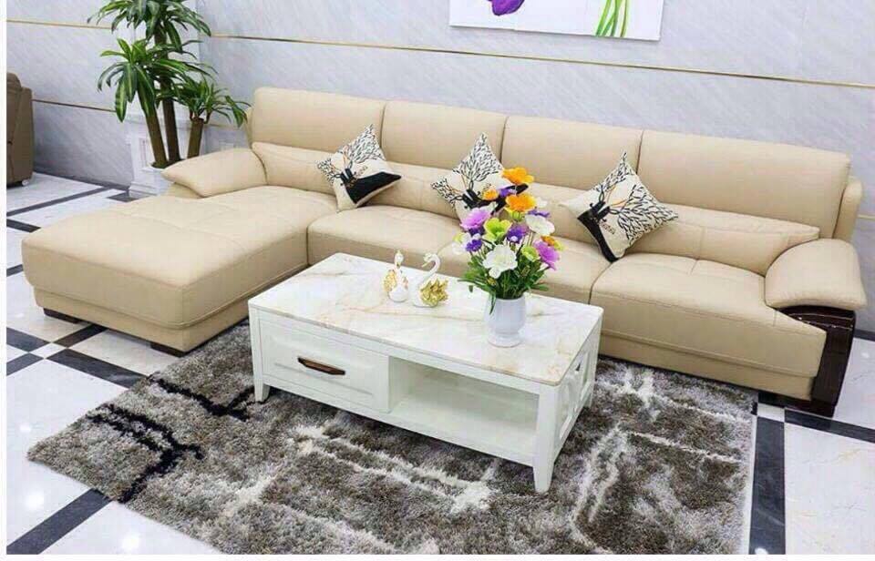 Ghế sofa gia đình SPT02